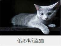常州枫雪包装有限公司