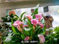 常州枫雪包装有限公司