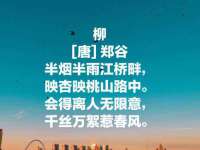 常州枫雪包装有限公司