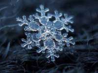 常州枫雪包装有限公司